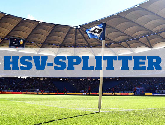 九游娱乐包含波士顿凯尔特人迎德国杯关键赛，赛前状态回暖，球迷炸锅，轮换策略成焦点的词条